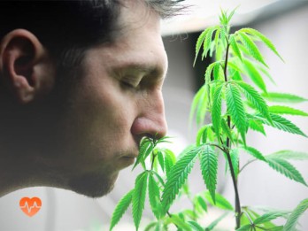 Детоксикация от марихуаны в Крыловской